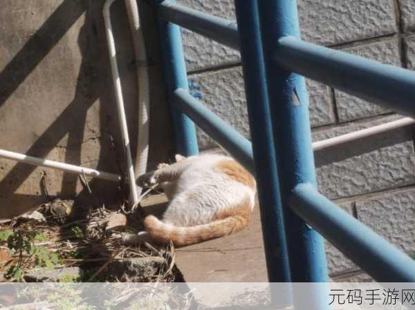 清新简约新风尚,挑战从楼梯上摔下来的趣味闯关之旅