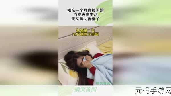 911爆料网八卦有理回家的路：1. ＂揭秘911爆料网：八卦背后的真实故事