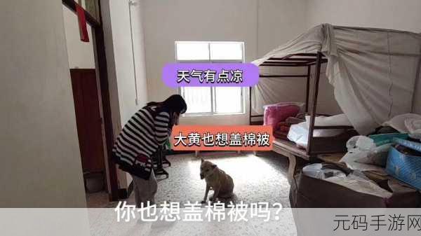 打扑壳生孩子不盖被子:1. 打扑壳生孩子时如何应对寒冷天气