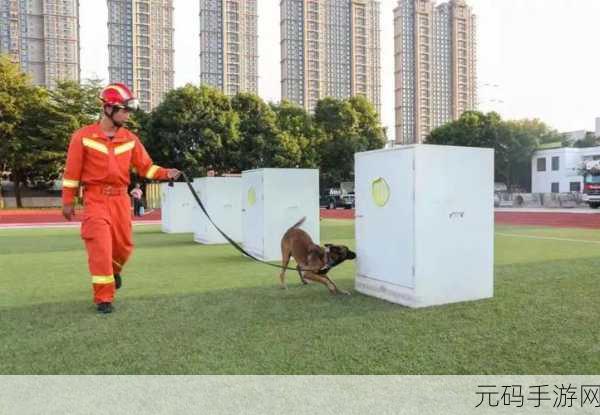 放置消防局,打造你的消防帝国,经营模拟新乐趣现已上线