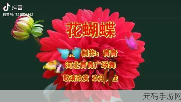 花蝴蝶视频下载:1. 花蝴蝶视频下载:轻松获取你的美丽瞬间
