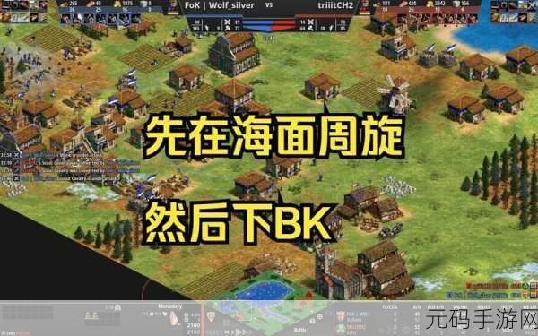 帝国时代 2 决定版,深度剖析凯尔特文明的独特魅力