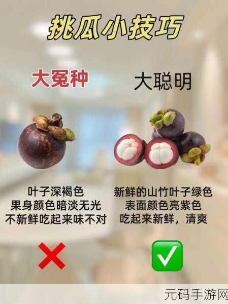 九一吃瓜今日吃瓜热门大瓜：1. 今日九一吃瓜：揭秘热门大瓜背后的真相