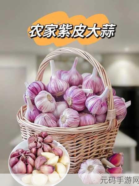 大香煮2024最新版：1. 2024年最新版大香煮：全新口味与创意的完美结合
