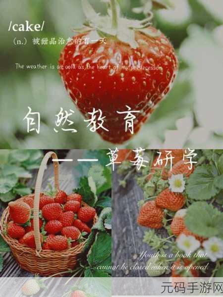 caomei.apk：1. 《探索caomei.apk：提升你的手机使用体验