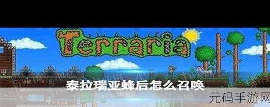 泰拉瑞亚手游，轻松召唤蜂后的详尽指南