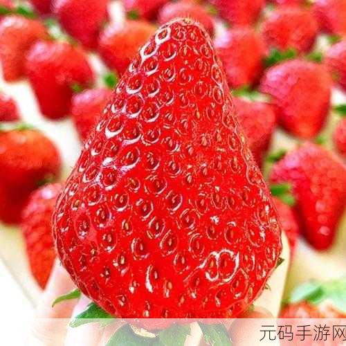 草苺APP下载：1. ＂草莓APP：尽享新鲜美味，轻松购买优质水果