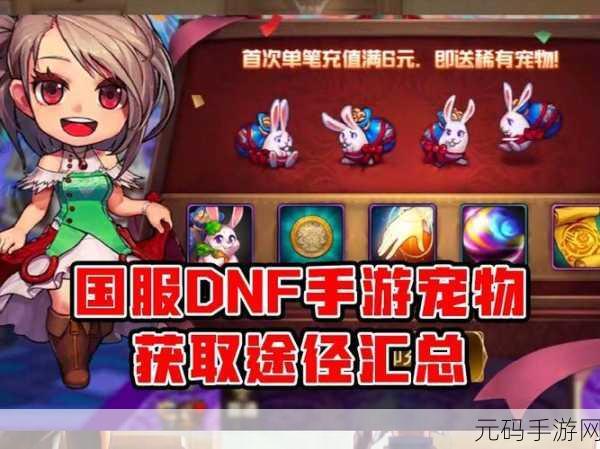 DNF 手游，那些令人难忘的最强宠物
