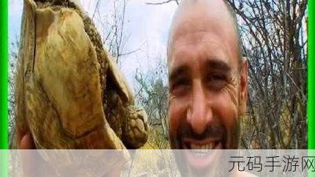 单挑荒野破解版震撼来袭!无限物资助你畅享超真实求生之旅