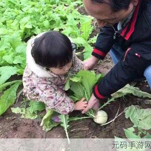 旅行者和丽莎拔萝卜:1. 《旅行者与丽莎:萝卜拔出的奇幻冒险