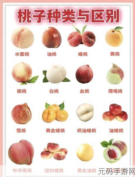 91精产国品一二三蜜桃：1. 91精产国品一二三蜜桃：美味与健康的完美结合