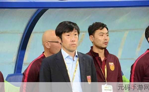 高洪波接受调查：高洪波接受调查引发足球界关注与讨论