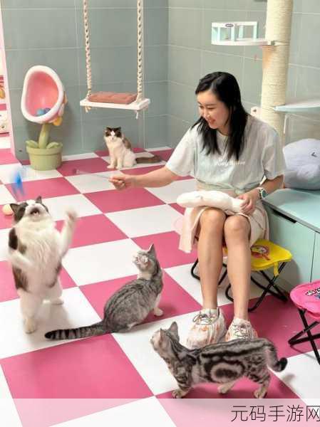 萌宠治愈新选择，猫酱物语游戏上线，打造专属猫咪乐园