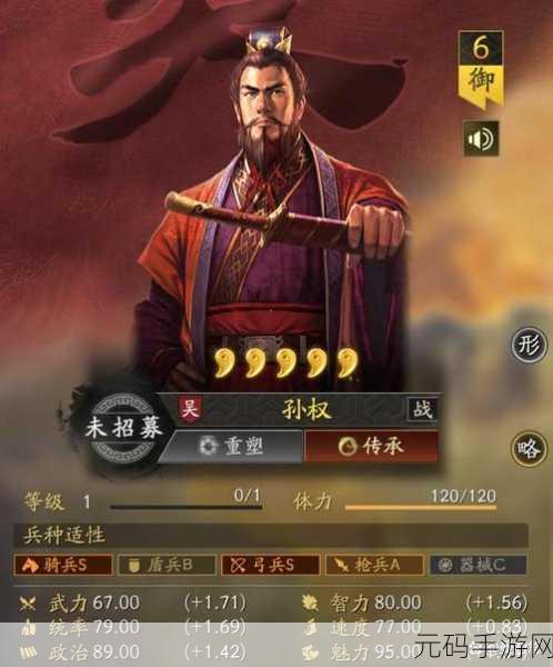 三国志战略版,孙权培养价值深度剖析
