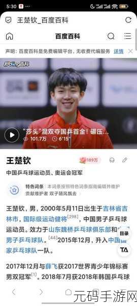 王楚钦蔡振华