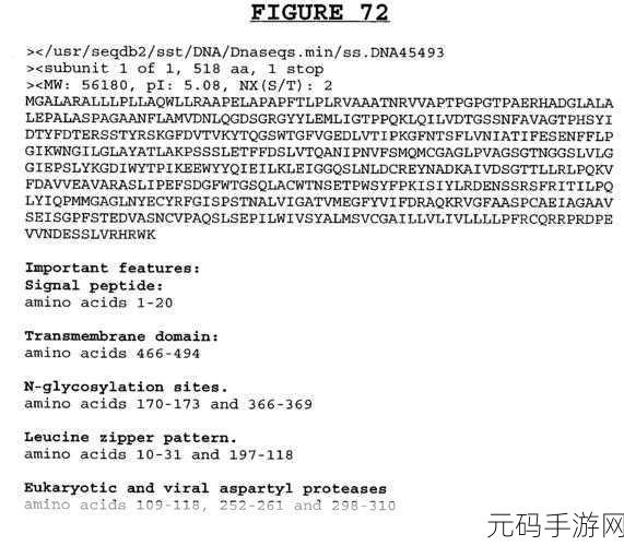 1316macbookpro小学生：1. 1316 MacBook Pro：小学生学习的理想伴侣