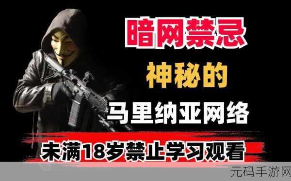 不良网站暗网下载软件：1. 深入探秘：暗网软件下载的风险与防范