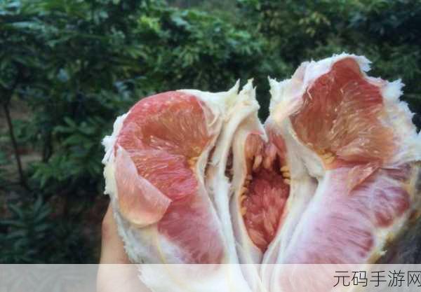 蜜柚污视频：当然可以，以下是一些新标题的建议：