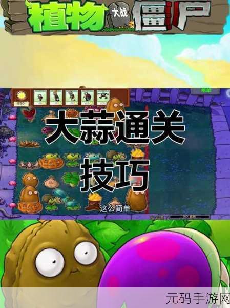 植物大战僵尸九五版通关秘籍大揭秘
