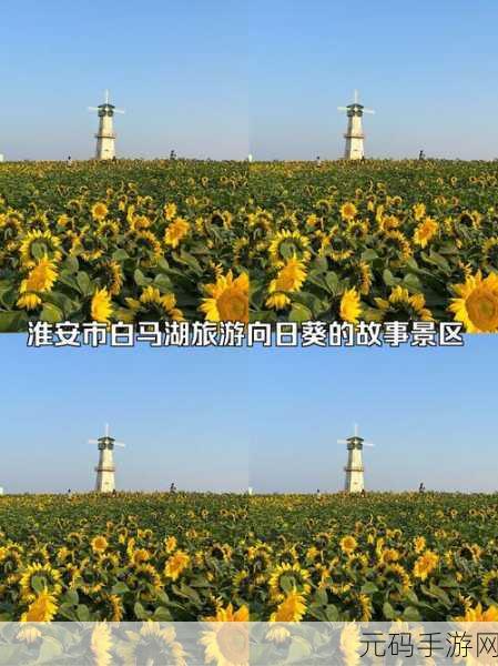 ios向日葵视频:当然可以!以下是一些关于“向日葵视频”的新标题建议,均不少于10个字: