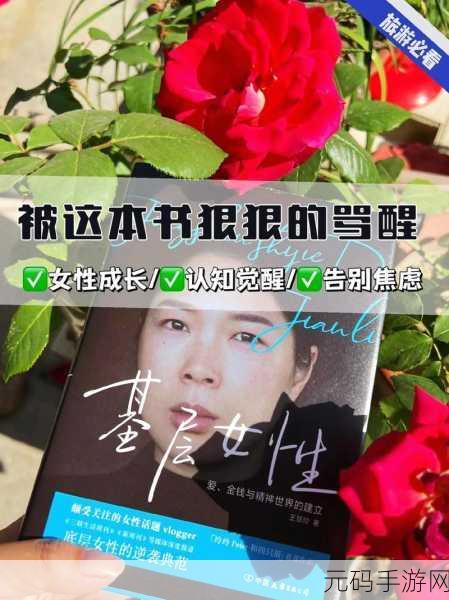 王慧文最新消息