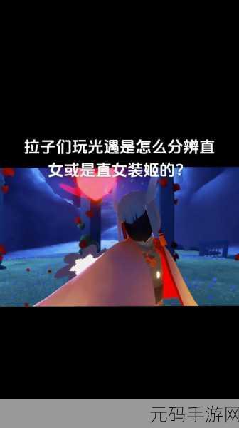 光遇新版白鸟震撼上线,探索清新卡通世界的休闲冒险之旅