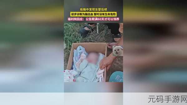 我爱搞_52G–APP:1. 爱搞APP:探索无尽创意的乐园
