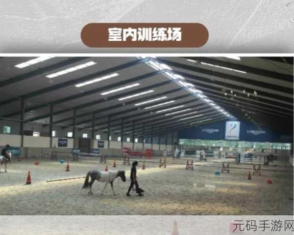 HorseWorld,跃上骑术巅峰,体验赛马养成新乐趣