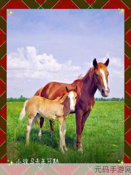 HorseWorld,跃上骑术巅峰,体验赛马养成新乐趣