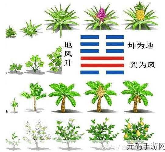 男坤升到女坤定眼:1. 男性视角下的女性力量:坤升的启示