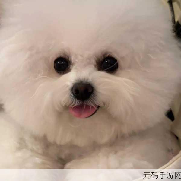 萌宠世界里的色彩盛宴,Dogs Coloring Pages游戏正式上线,开启狗狗主题的涂色之旅