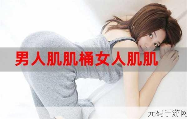 肌肌桶：1. 从肌肉桶到力量之源：健身新理念
