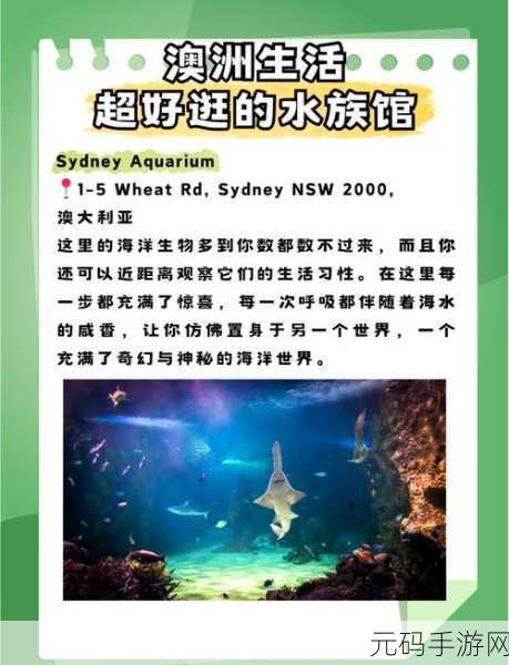 水族馆之谜,探索深海奥秘,享受趣味解谜之旅