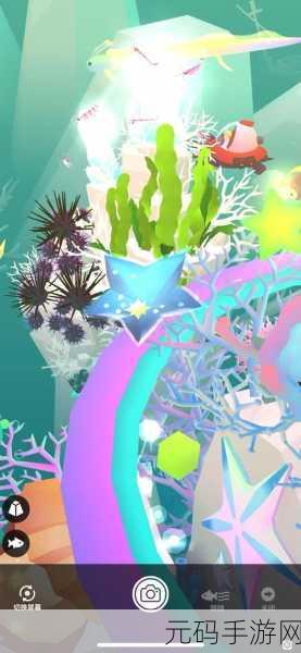 水族馆之谜,探索深海奥秘,享受趣味解谜之旅