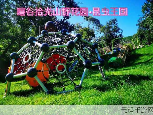 五色昆虫王国奇遇,国王小子邀你共赴趣味挑战之旅