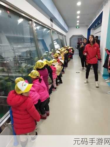 五色昆虫王国奇遇,国王小子邀你共赴趣味挑战之旅