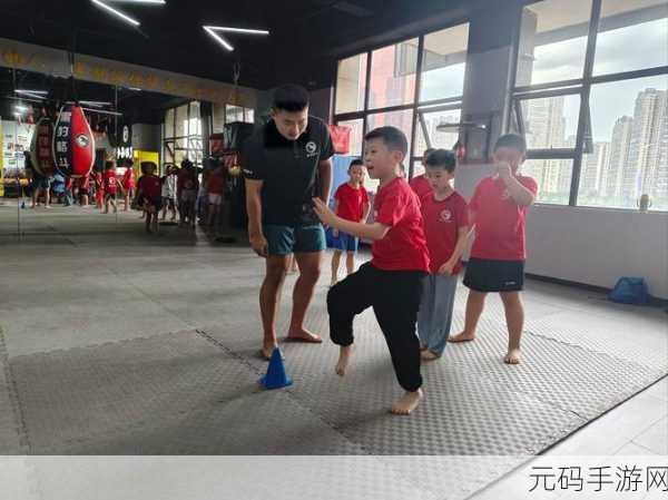 拳击爱好者福音,拳击训练模拟器震撼上线,体验拳拳到肉的极致快感