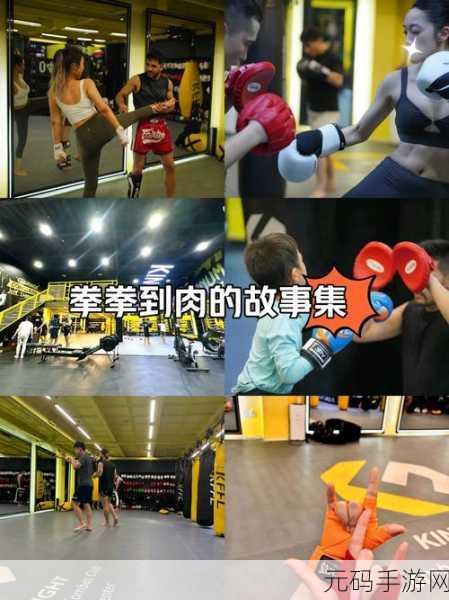 拳击爱好者福音,拳击训练模拟器震撼上线,体验拳拳到肉的极致快感