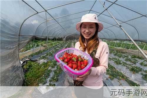 草莓视频成