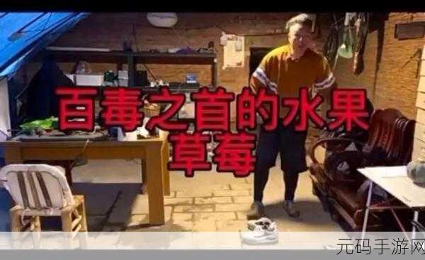 草莓视频成