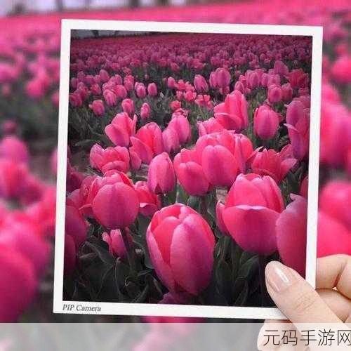 秀色视频:1. 探索秀色视频的创意表达与视觉魅力