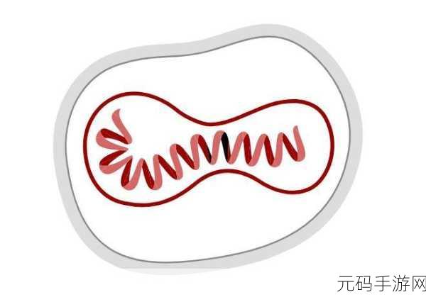 果冻传染煤片:1. 果冻传染煤片:揭示新型传播机制的研究