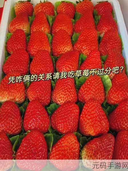 草莓视频污无限：1. 草莓视频：探索无尽的视听乐趣世界
