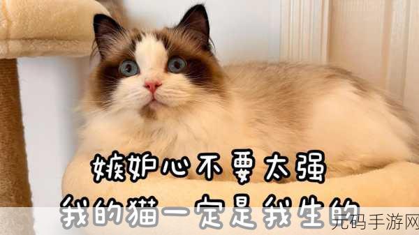 萌宠解谜新风尚,敢问猫在何方下载热潮席卷而来