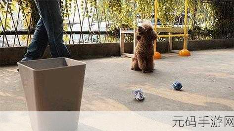 会说话的泰迪熊萌翻上线,宠物互动新体验等你来探索