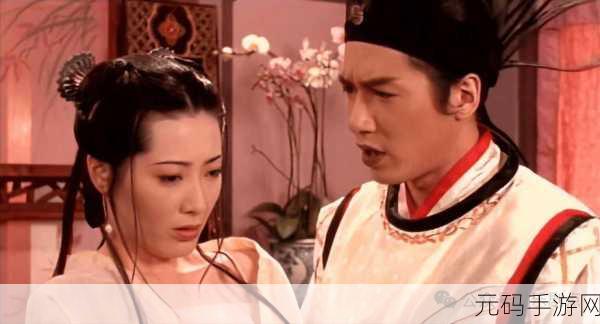新版金银瓶51996:金银瓶:欲望与权力交织的世俗人生