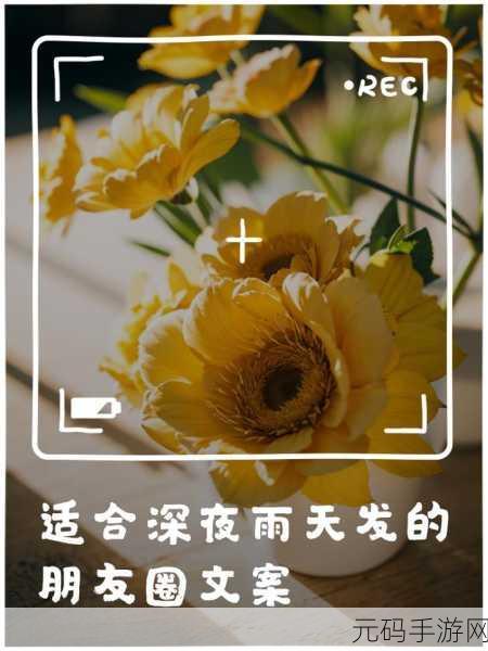 深夜免费18:好的,这里有一些基于“深夜免费18”的新标题建议,字数不少于10个字:
