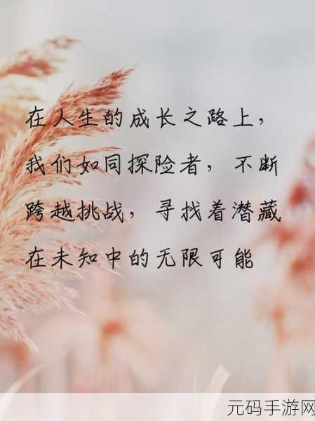 丰裕纵满2588最火的一句:1. 丰裕纵满2588:探索人生的无限可能