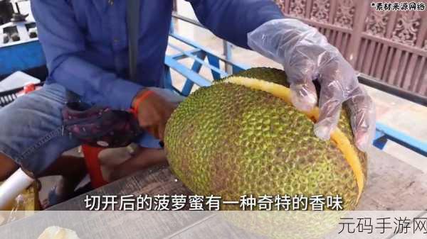 菠萝菠萝蜜免费高清视频:1. 笑声不断,菠萝菠萝蜜带你体验快乐时光