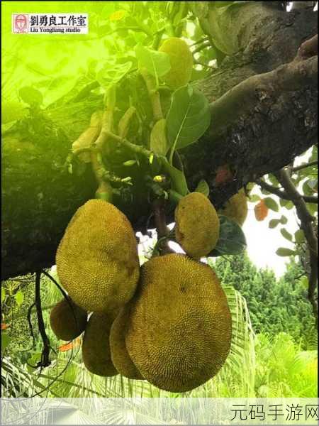 菠萝菠萝蜜免费高清视频:1. 笑声不断,菠萝菠萝蜜带你体验快乐时光